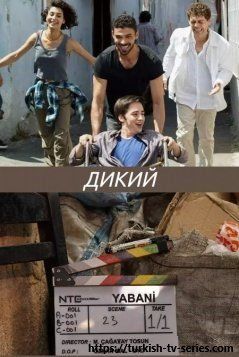 Дикий все серии смотреть онлайн турецкий сериал на русском языке